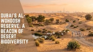 Dubai’s Al-Wohoosh Reserve: A Beacon of Desert Biodiversity